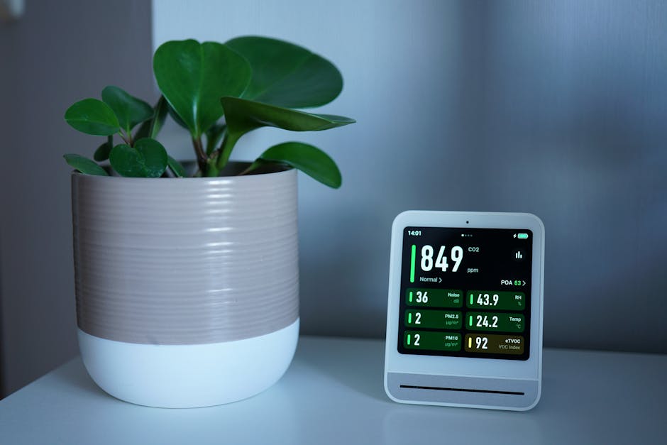 Air quality monitor next to a potted plant on a desk, showing CO2 and PM2.5 levels.