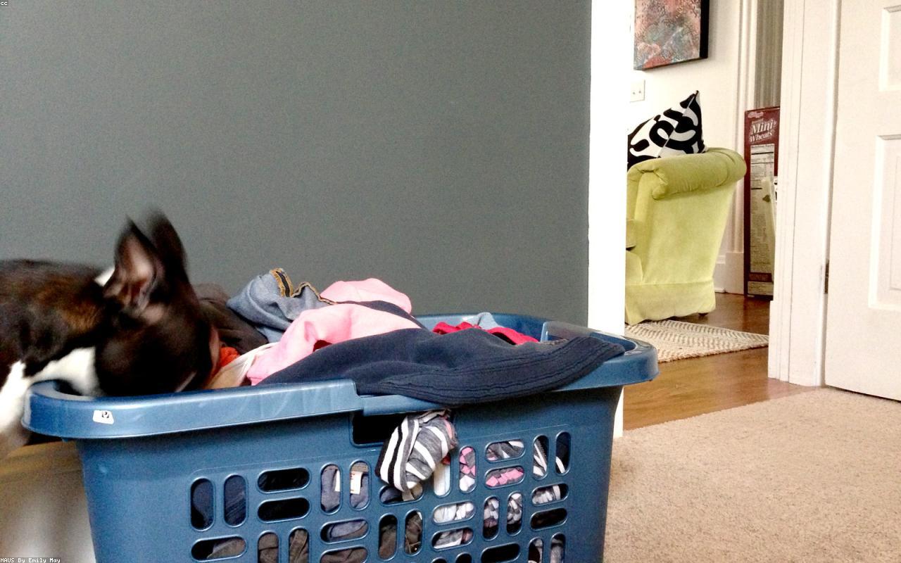 Laundry Room Storage for Joggers, Leggings, and Workout Layers