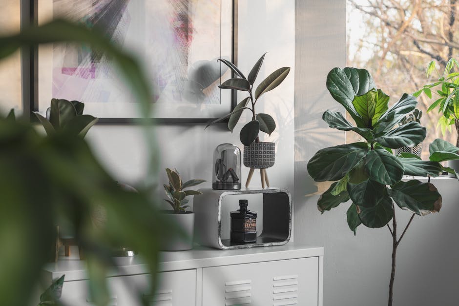 Breathing New Life Into Your Home: Essential Tools for Successful Renovation