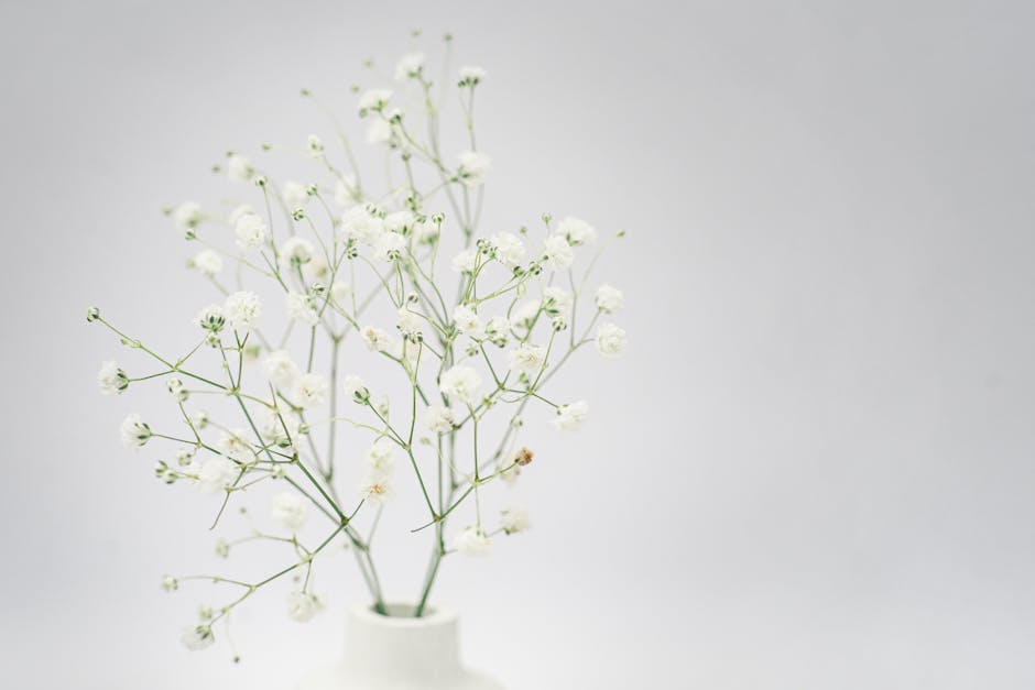 White Ceramic Plates That Make a  Table Look Like 0