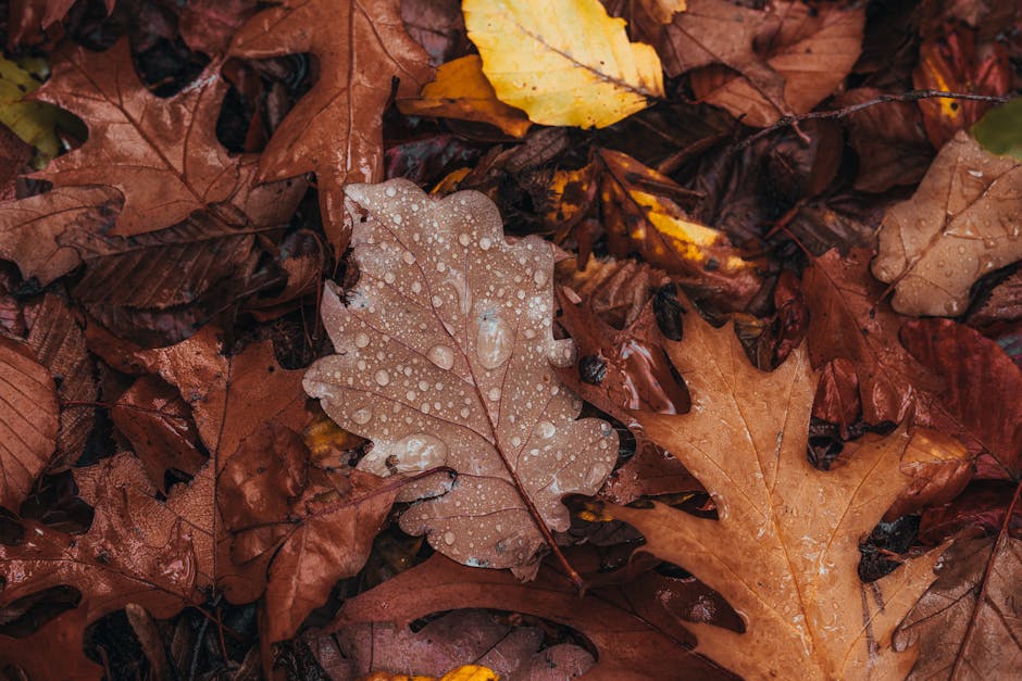 Camping Lantern Mistakes That Leave You in the Dark