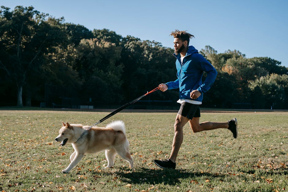 How to Achieve Off-Leash Freedom with the Right Dog Training Collar