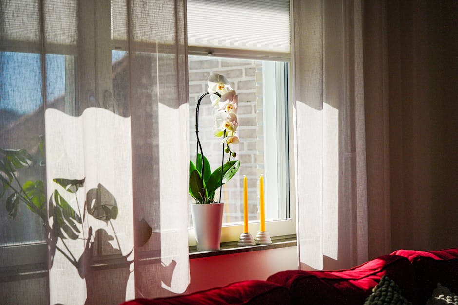 Home Security Without Monthly Fees: What Indoor Cameras Actually Deliver