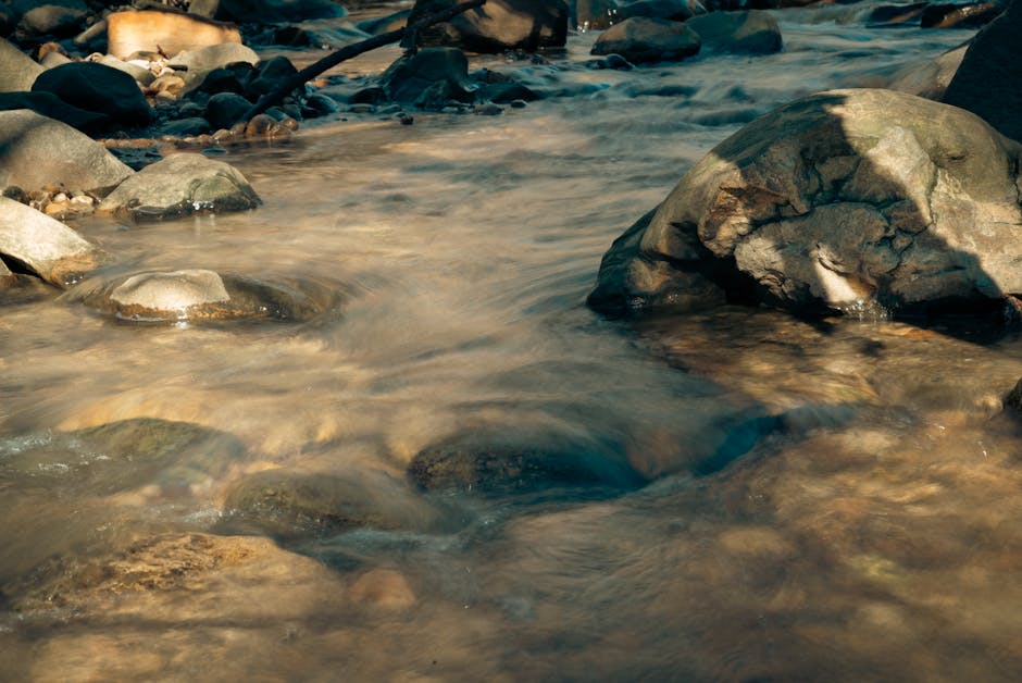 Murky Water Woes: How to Get Sparkling Clean Drinking Water at Home