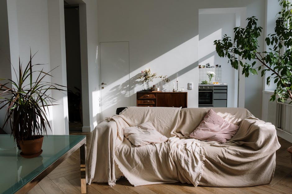 Sunlit cozy apartment interior featuring a comfortable beige-covered sofa, potted plants, and warm decor.