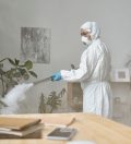 Pest Control Glasgow: How to Spot a Rodent Problem Before It Costs You