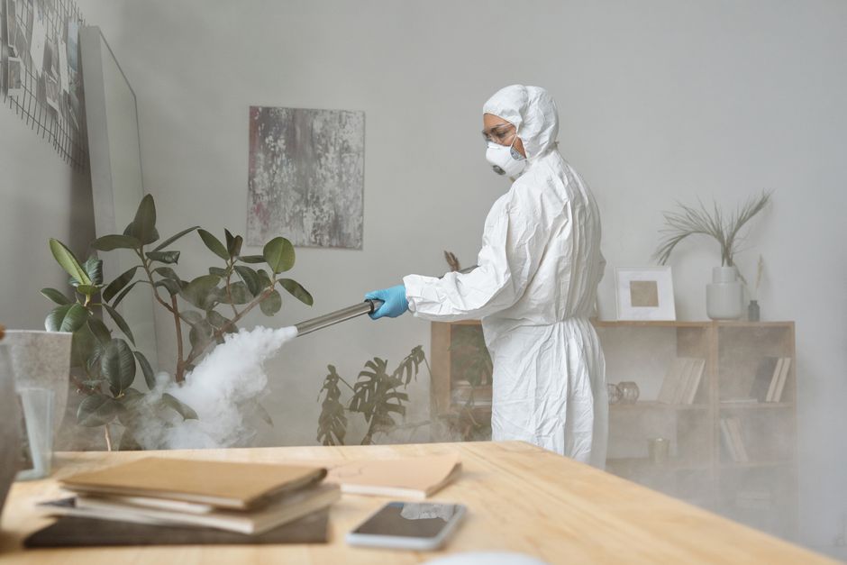 Pest Control Glasgow: How to Spot a Rodent Problem Before It Costs You