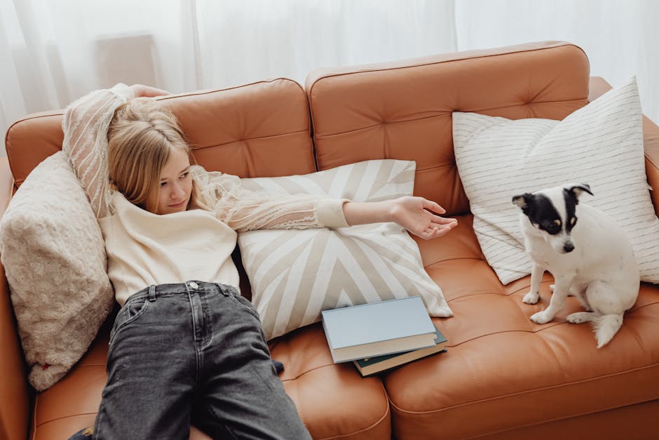 Pet Gates That Don’t Wreck Your Home’s Look